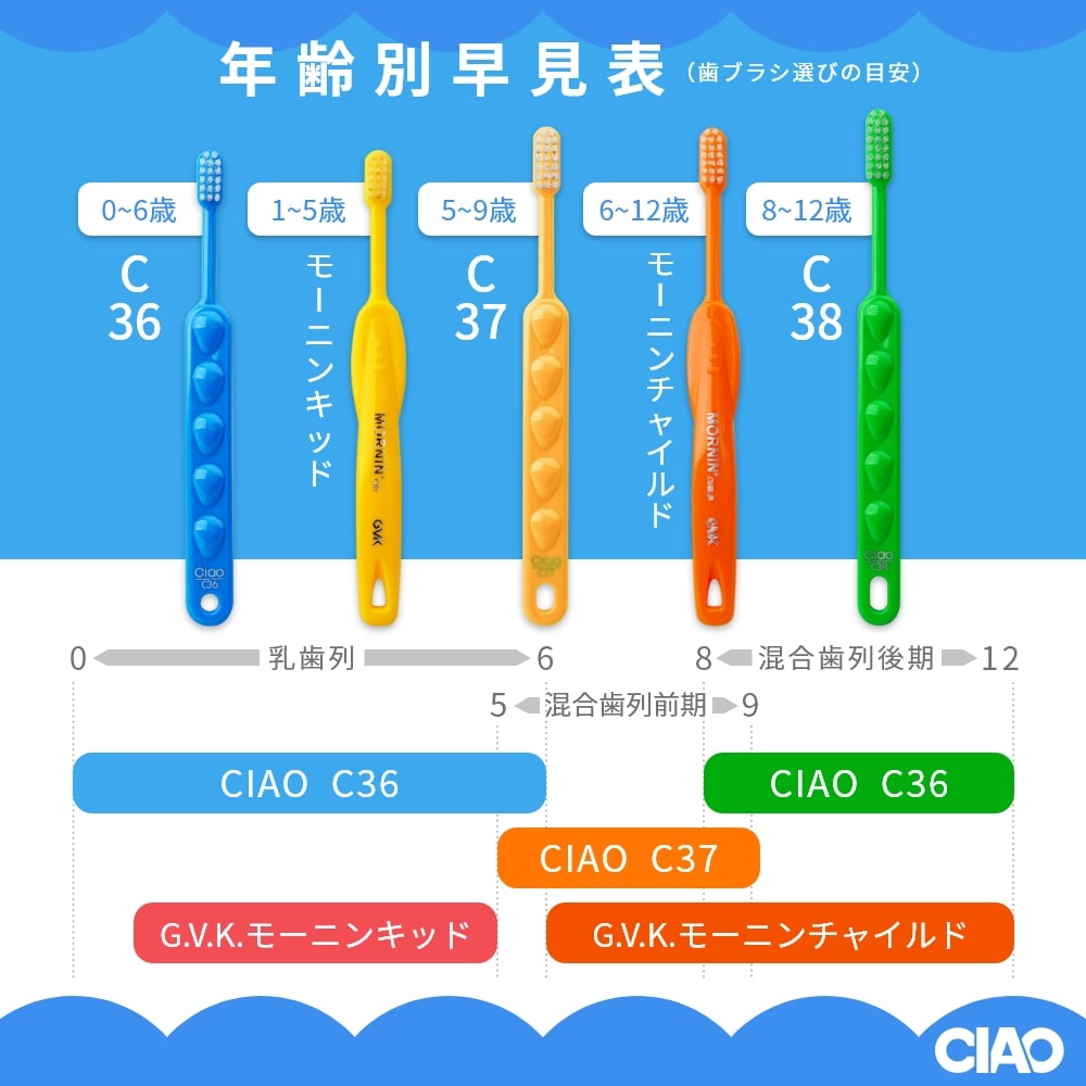 GVK ジーブイケー 歯ブラシ CIAO チャオ C36