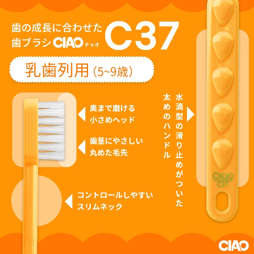 GVK ジーブイケー 歯ブラシ CIAO チャオ C37