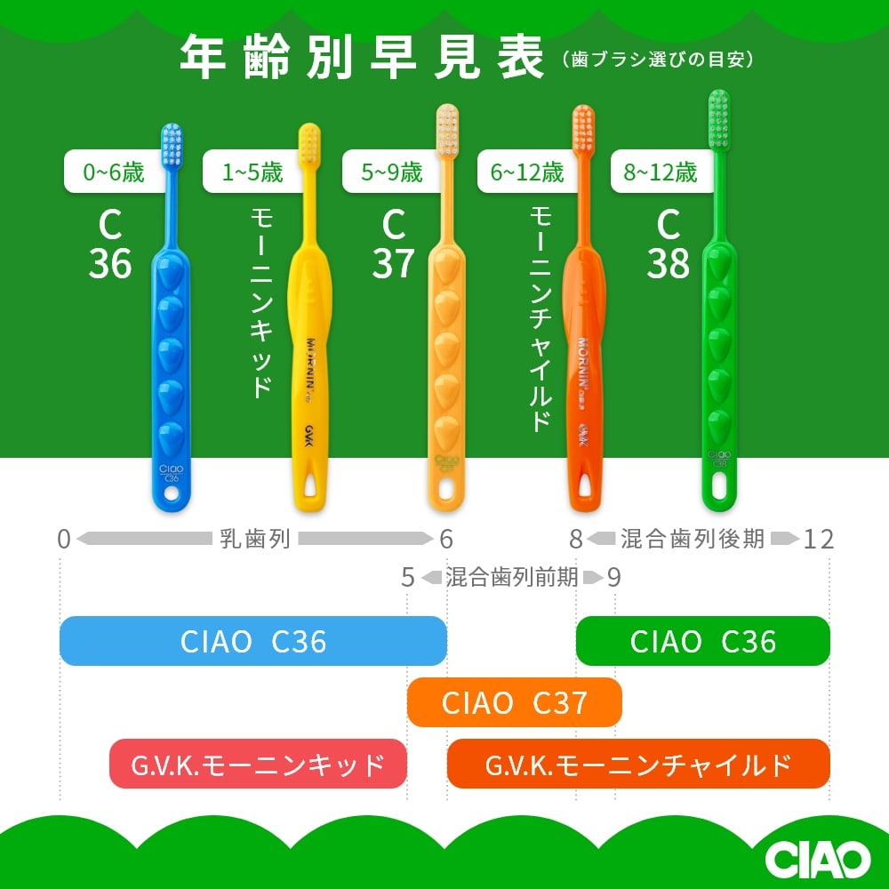 GVK ジーブイケー 歯ブラシ CIAO チャオ C38