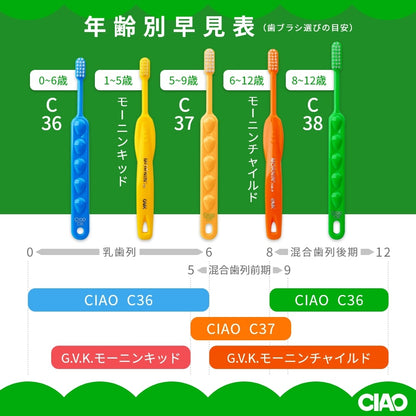 GVK ジーブイケー 歯ブラシ CIAO チャオ C38