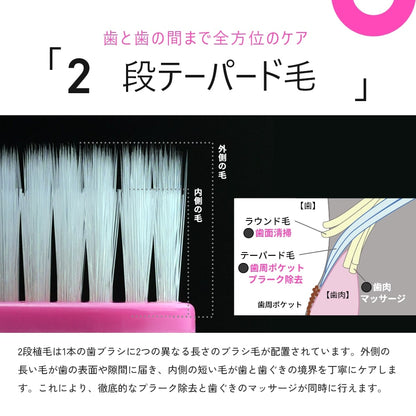 MOGU モグ 歯ブラシ taper four テーパーフォー